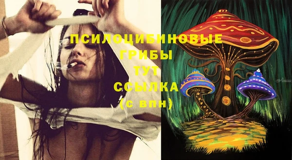 мдпв Горнозаводск