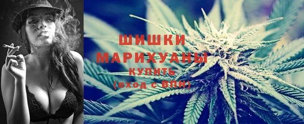 мдпв Горнозаводск