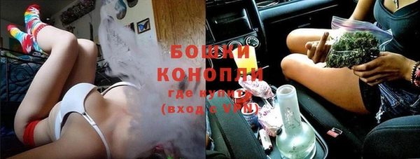 мдпв Горнозаводск