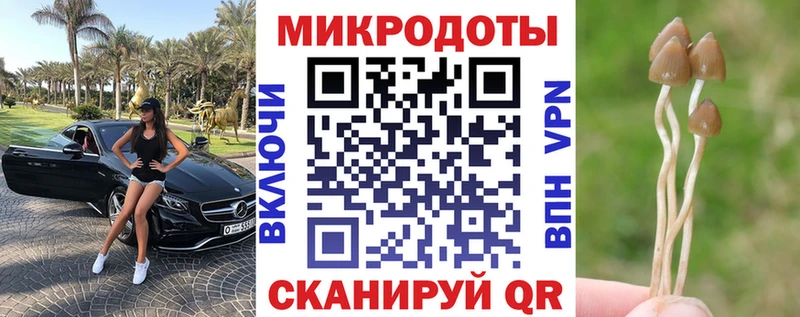 Псилоцибиновые грибы Cubensis  Купить где  Каменка 